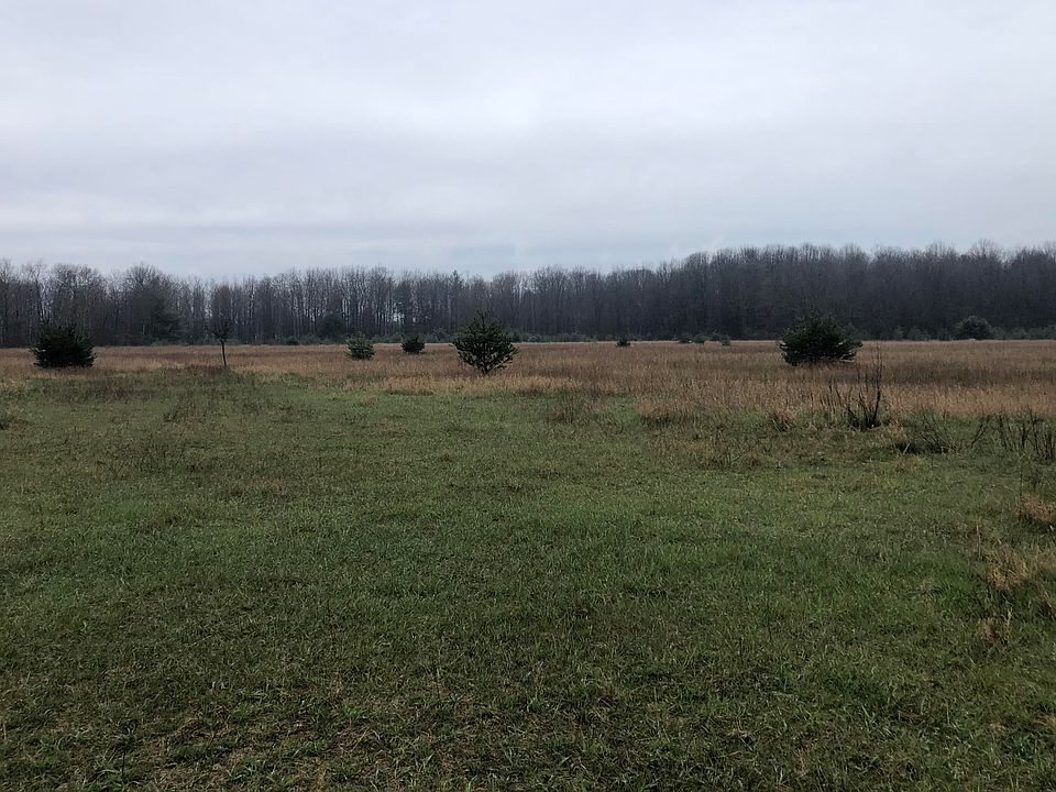 2nd image of 11477 Johnson Rd