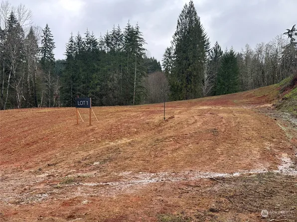 161 Ash Mountain Drive, Castle Rock, WA 98611