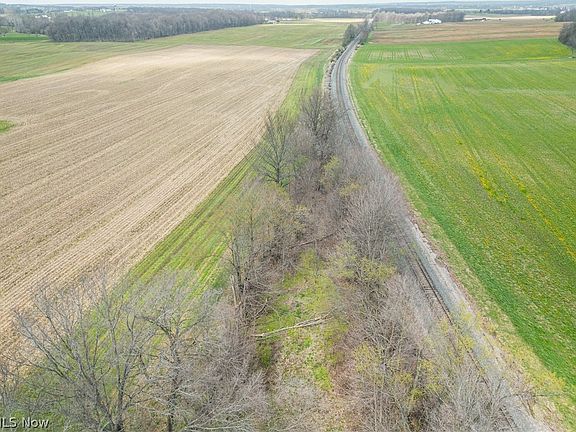 3rd image of Steiner Rd