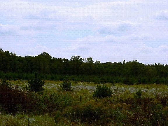 3rd image of 5681 Harper Rd