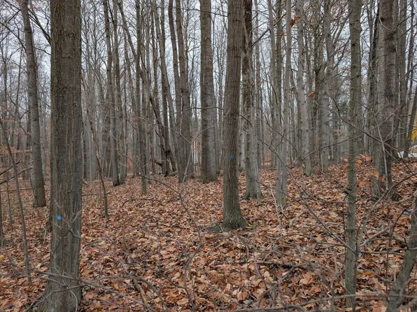 V/l W Beech St, Ludington, MI 49431