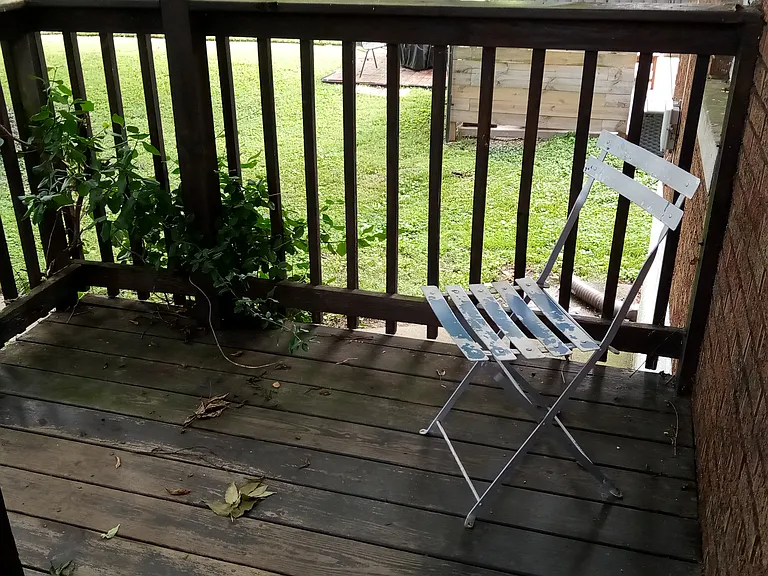 Rear Deck