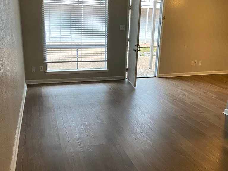 Palm Shore Apartments — Photo 9
