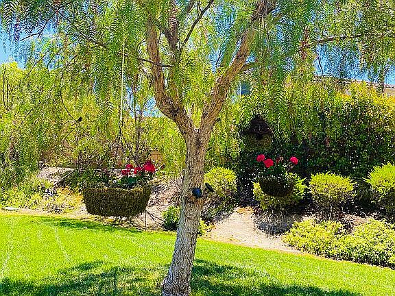 4th image of 32419 Alpine Ct