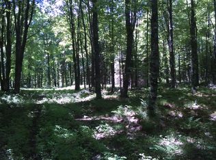 Morgon Lake Rd, Fence, WI 54121