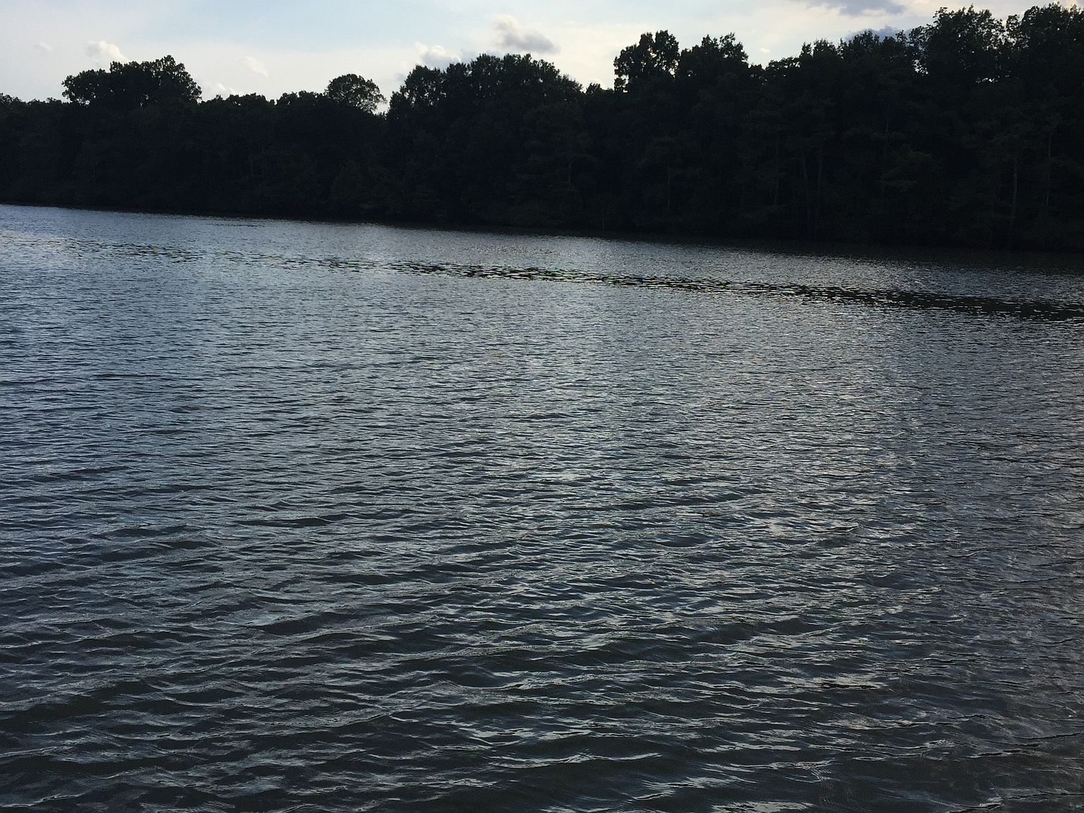 631 Lower Maddox Bay Rd, Holly Grove, AR 72069 Zillow