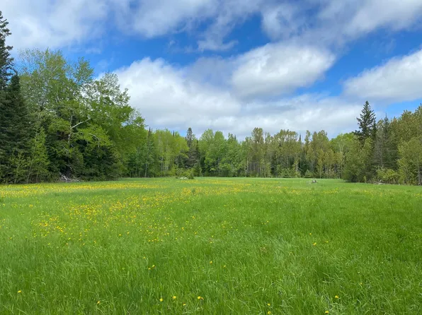 10891 Highway 71, Mizpah, MN 56660