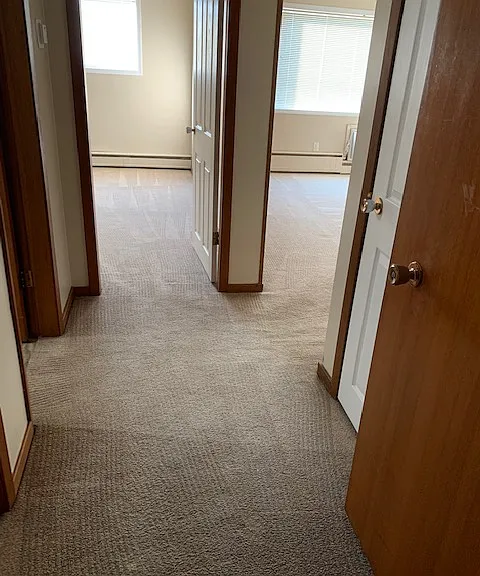 20 Spence St #5 — Photo 8