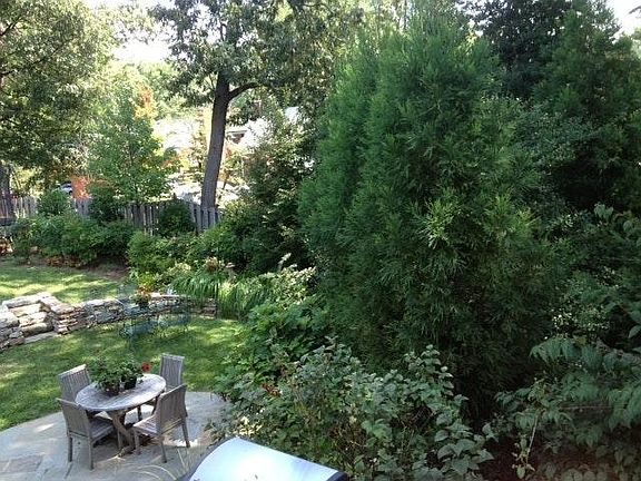 Private, natural backyard oasis