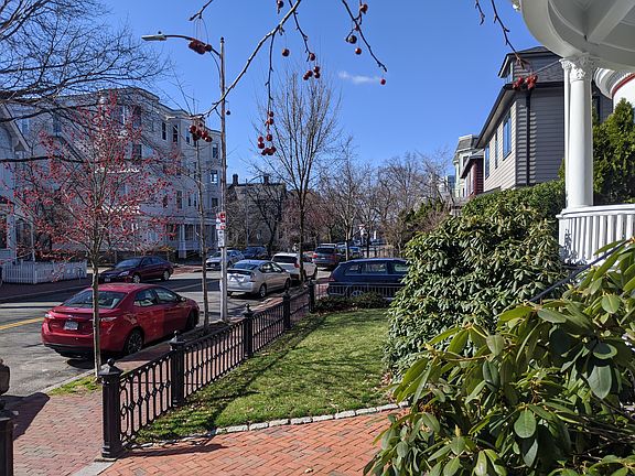 Front yard (the other side)