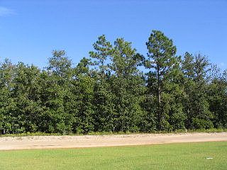 1st image of 0 Shore Dr Lot 36
