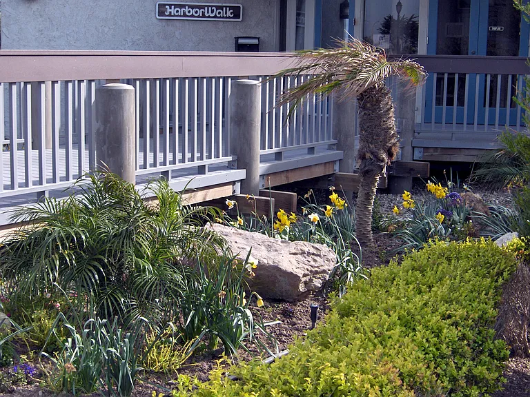 Harborwalk Office/Clubhouse