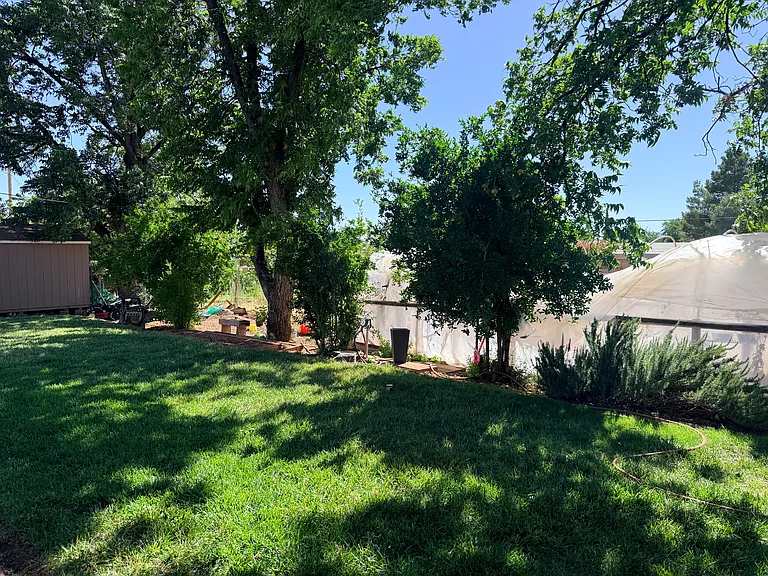 spacious backyard with tons of shade. Comes with a garden area if you have a green thumb.