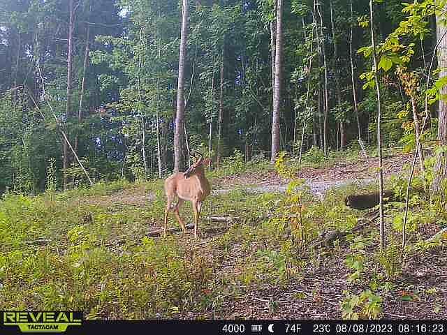 1st image of 89 One West Dr