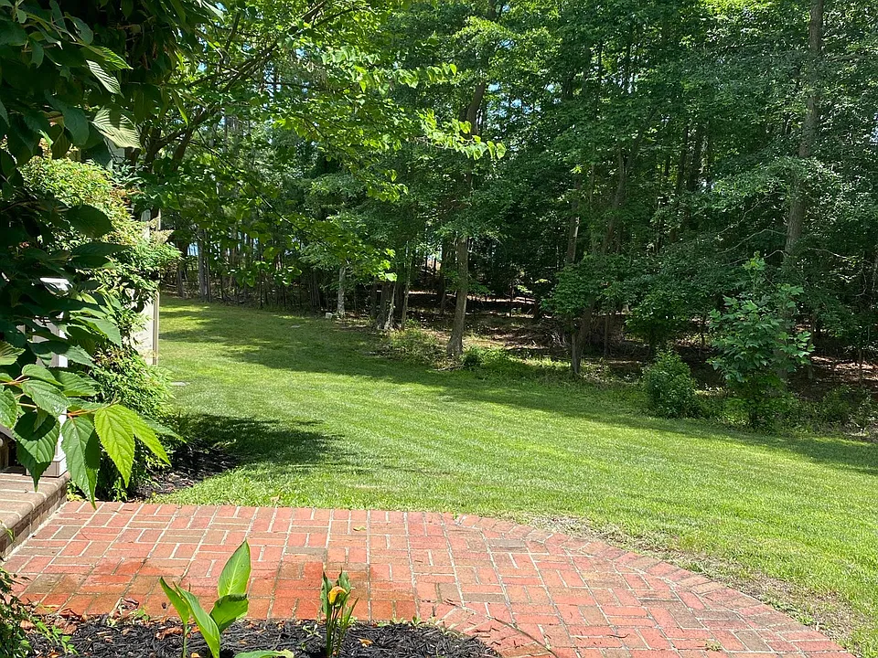 backyard view from apartment