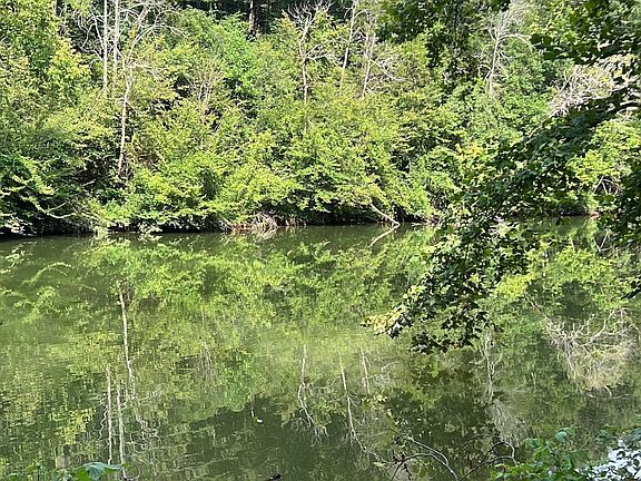 4th image of 0 Hidden River Rd Lot 52