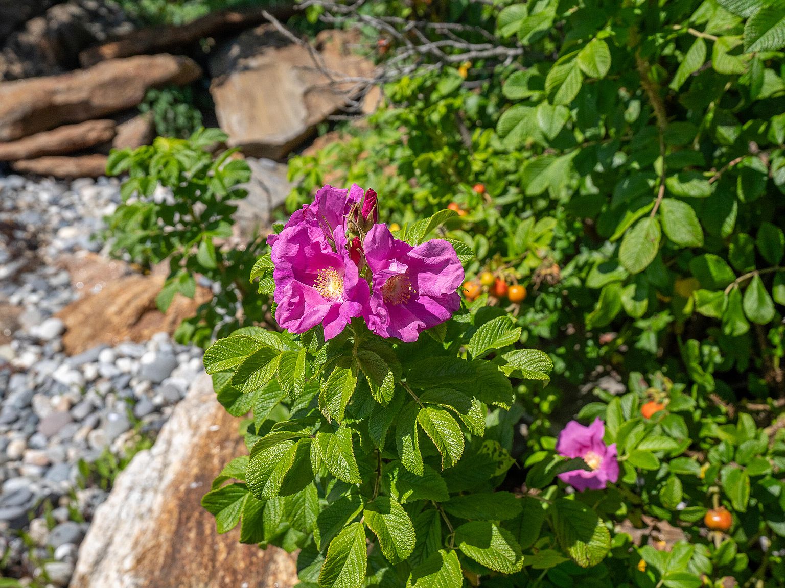 01,05A,08 Arrowhead Lane Lot 01,05A,08, New Harbor, ME 04554 Zillow