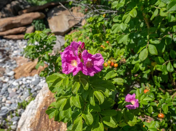 01,05A,08 Arrowhead Lane, Bristol, ME 04554