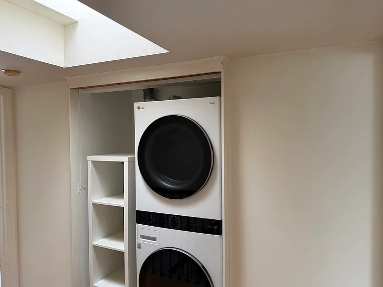 LG laundry tower. Controllable by app.