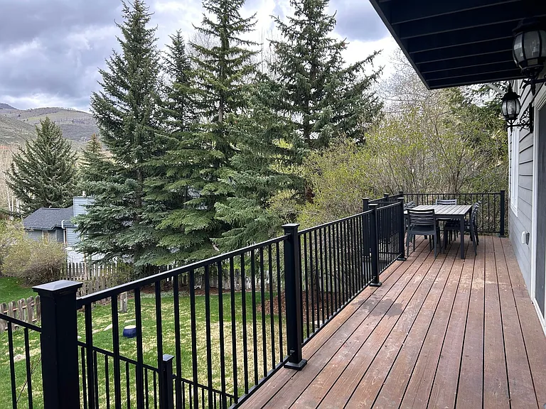 Back terrace and garden