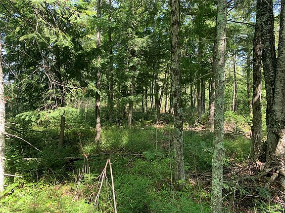 5th image of 36+/- Acres On Dynamite Road