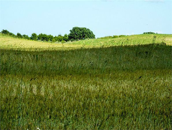 1st image of 57118 S County Road 240