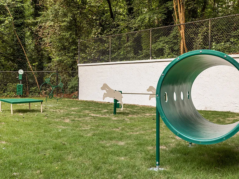 Details at the Pet Park