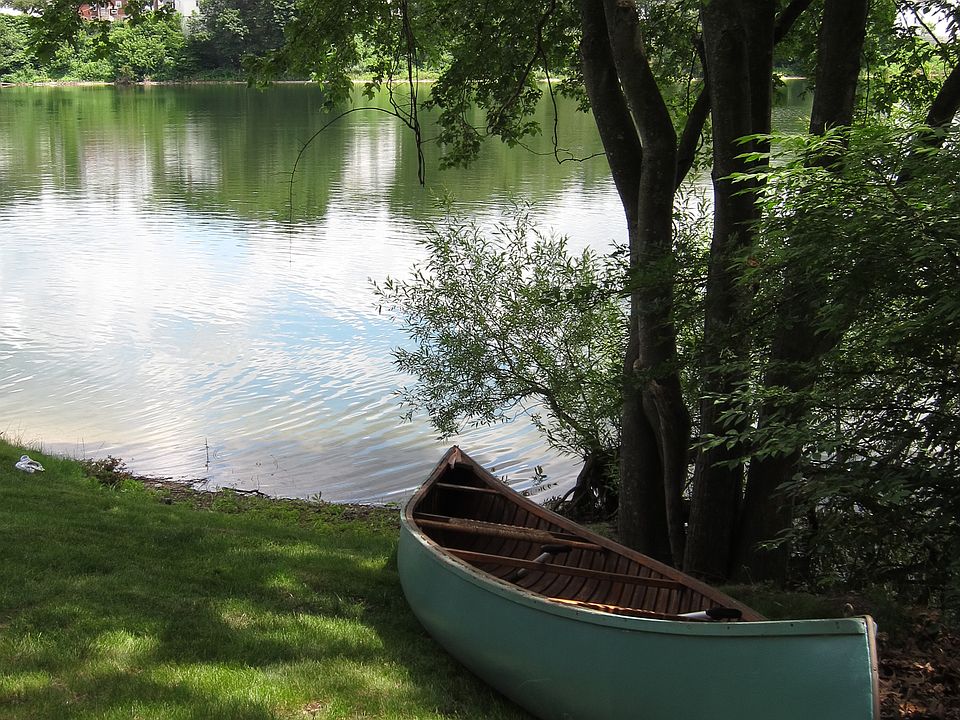 Scott pond in the summer