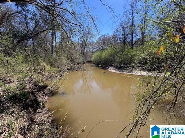 County Road 684, Roanoke, AL 36274