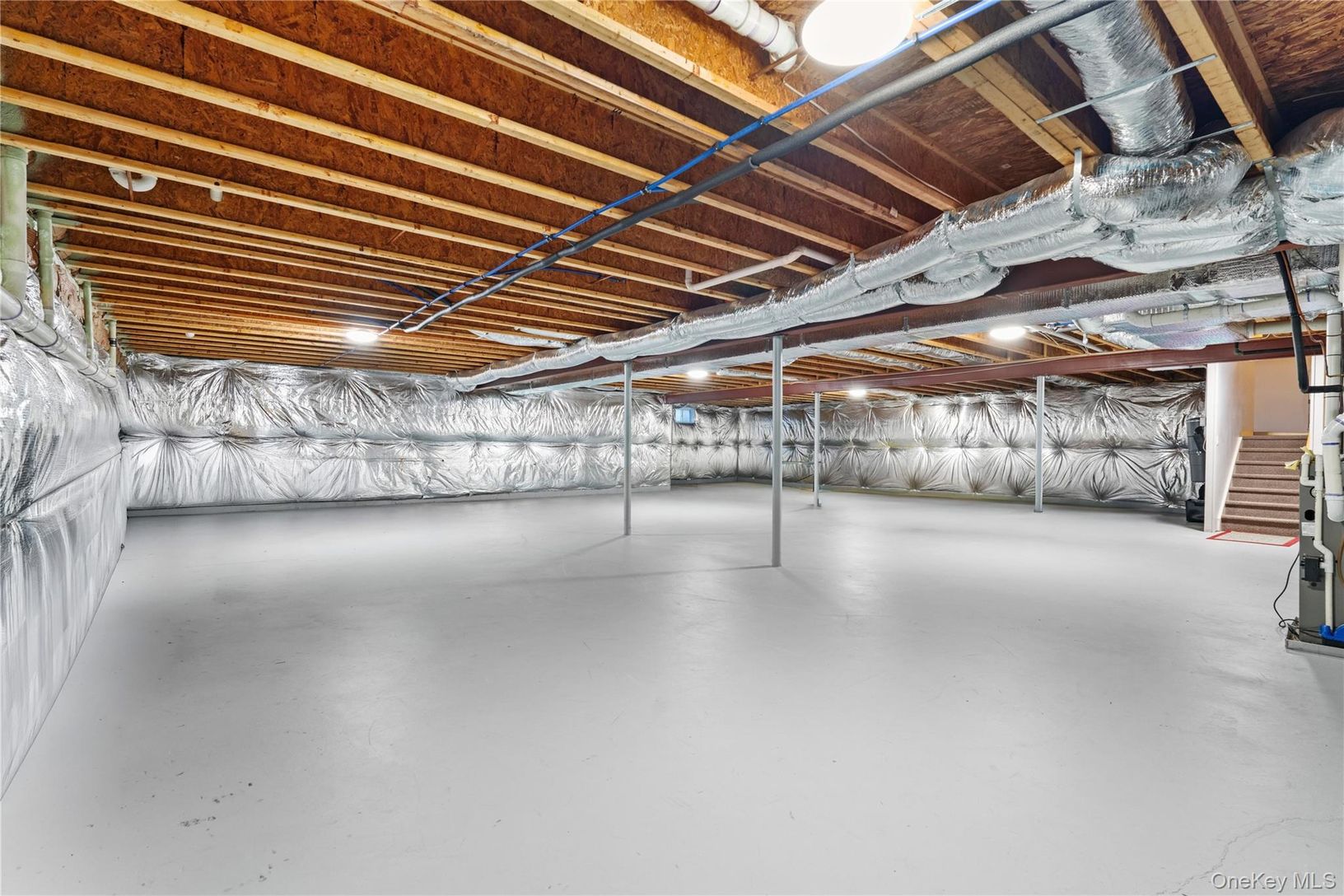  Full size lower level w 10ft ceilings