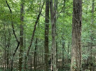 Tabor Rd, Ellijay, GA 30536