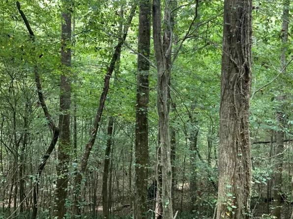Tabor Rd, Ellijay, GA 30536