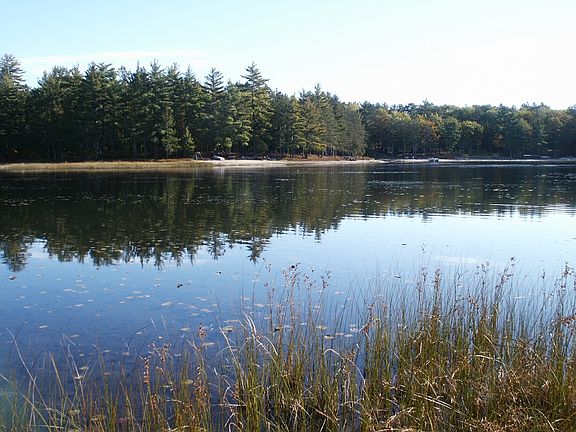 5th image of 3684 Mulberry Ln
