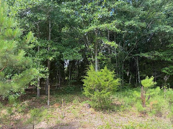 3rd image of 0 Norway Rd