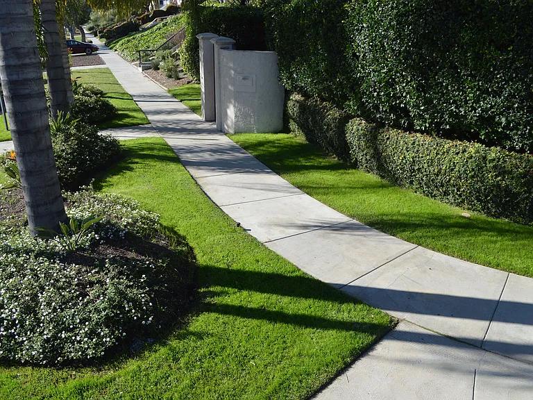 1203 S Rimpau Blvd — Photo 117