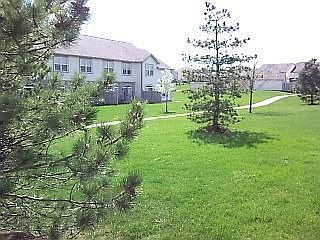 3rd image of 3559 Sequoia Dr