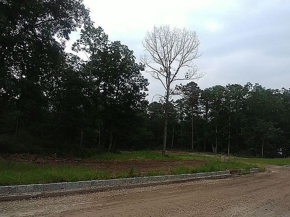WOODED LOT 1 ACRE PLUS 98.06