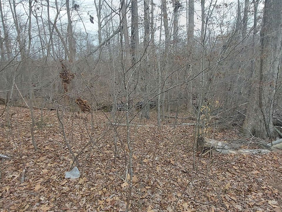 2nd image of 0 Doe Run Dr