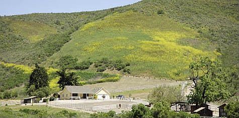 2nd image of 3200 Gypsy Canyon Rd