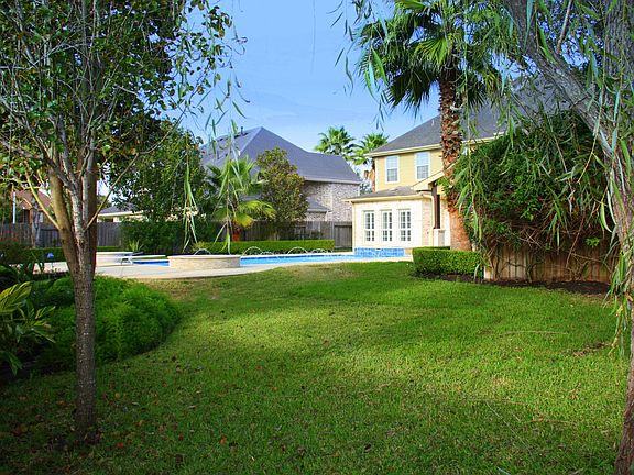 Grass for play and puppy