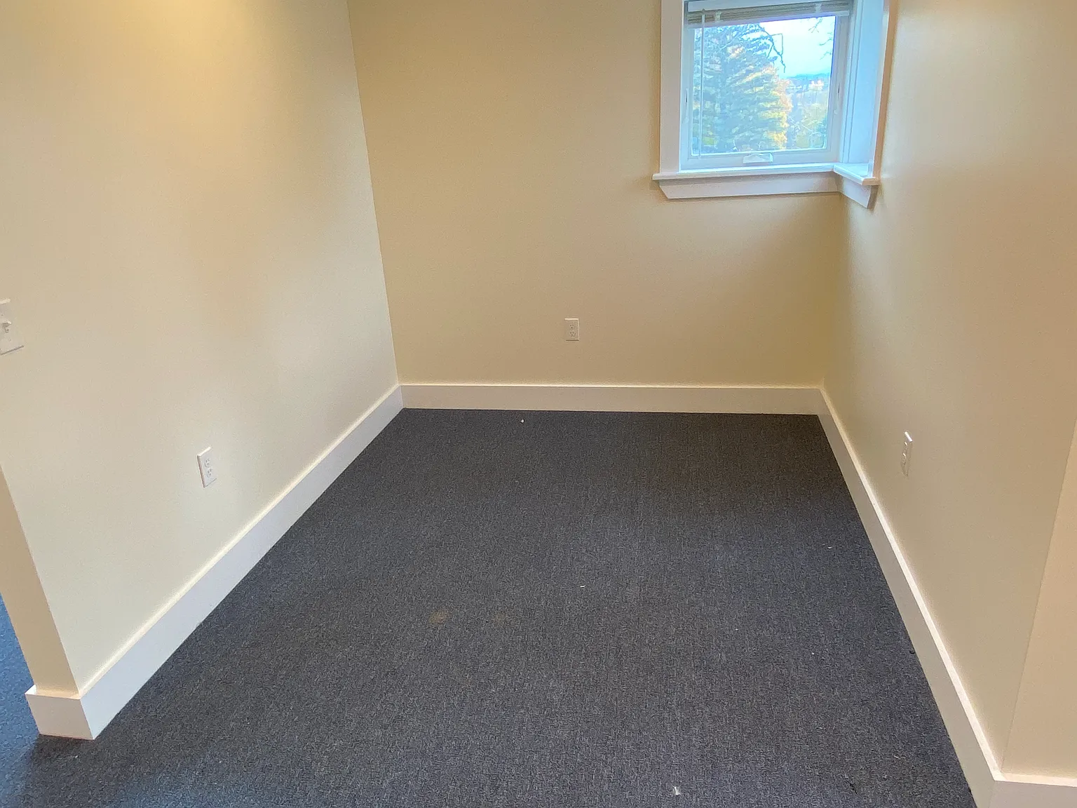 Studio, $1,600 — Photo 4