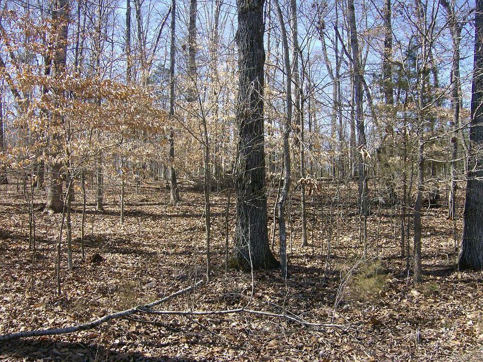 2nd image of 238 Golanvyi Trl