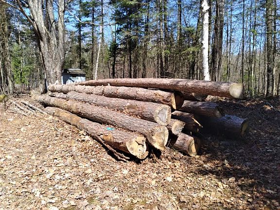 5th image of 1106 Homestead Rd