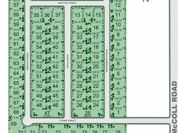 509 N Alexandrite Ave, Edinburg, TX 78541