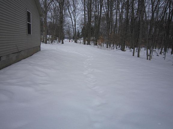 4th image of 502 Newberry Ave