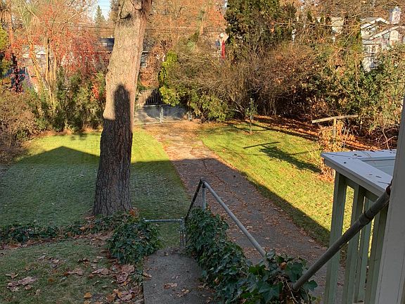 Back yard (tree has since been removed). Photo from deck.