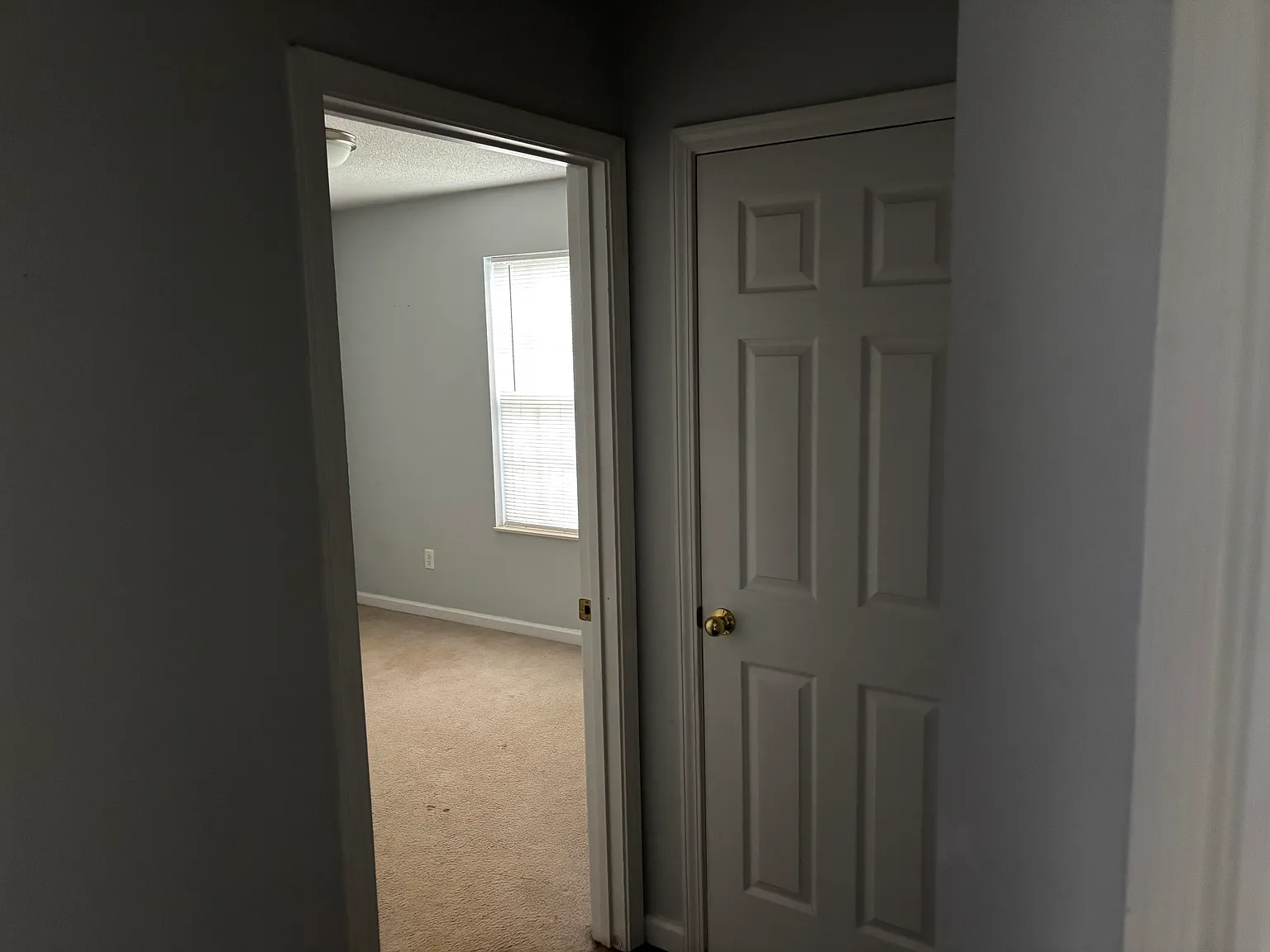 6359 Gary Moore Ln — Photo 4