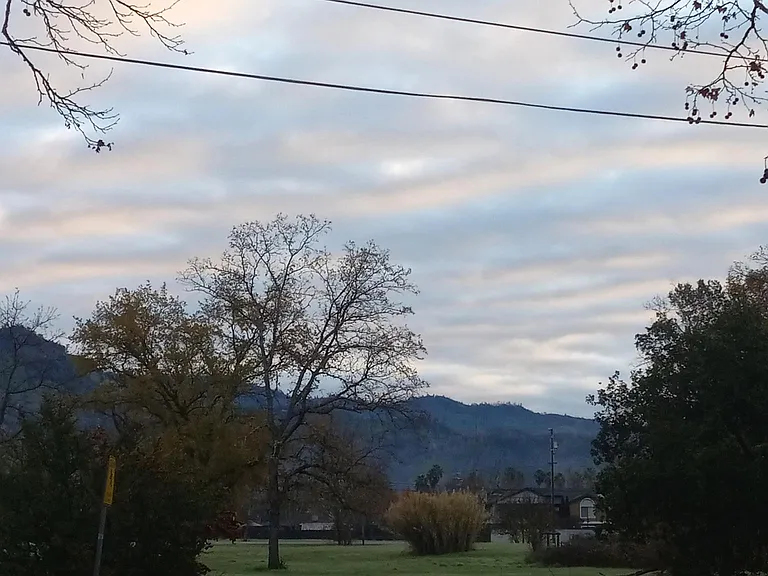Fall view from garden and master window