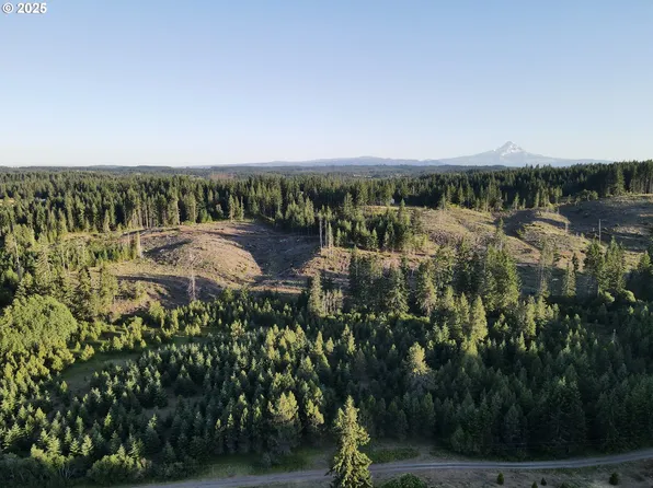 Mount Brook Ln, White Salmon, WA 98672