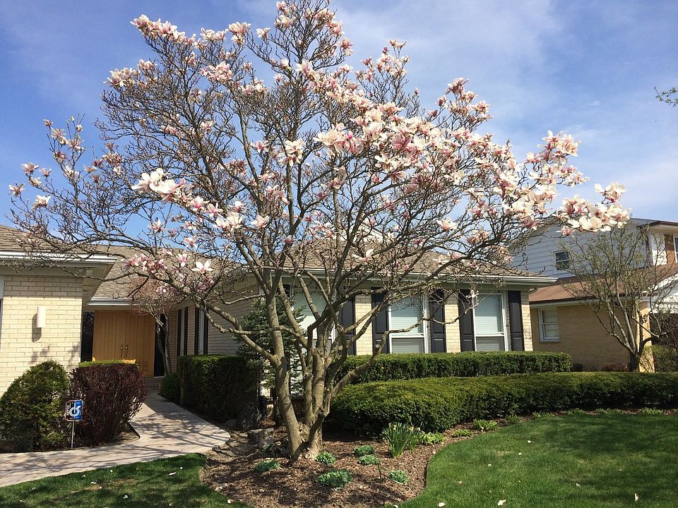 Immaculate ranch on cul de sac with gorgeous magnolia tree